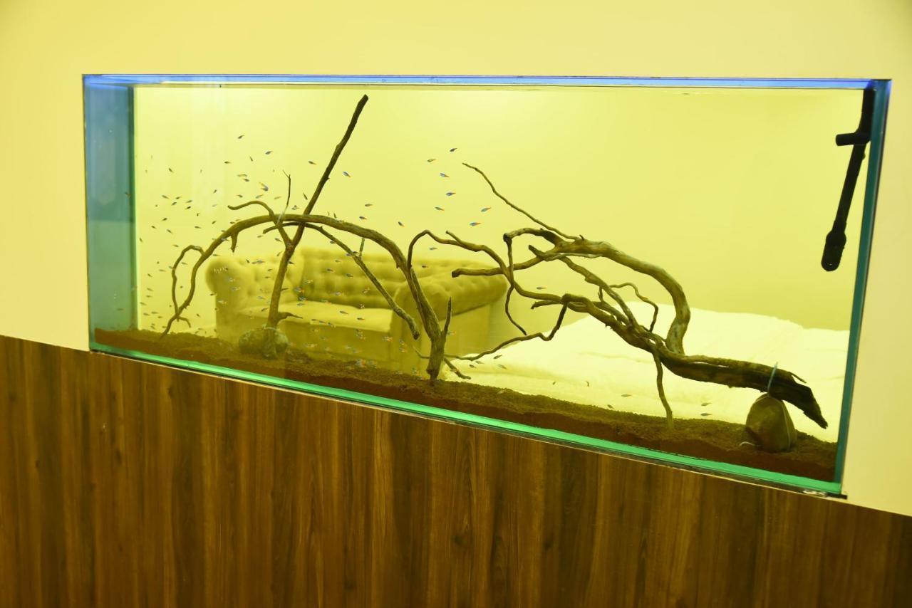 Fundera Aqua Stay Yelagiri Extérieur photo